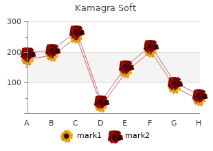 order 100mg kamagra soft visa