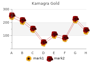 purchase kamagra gold 100mg visa