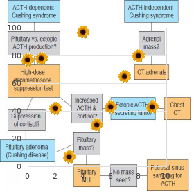 Phosphoribosylpyrophosphate synthetase deficiency