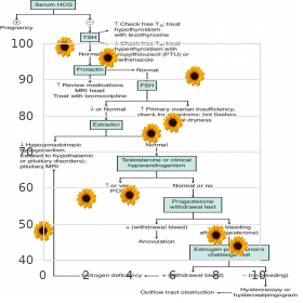 Chromosome 9, duplication 9q21