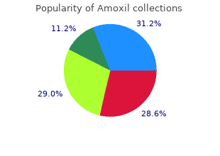 purchase amoxil online now