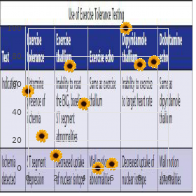 Hydrops fetalis