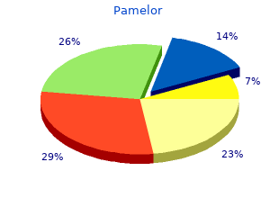 buy pamelor with a visa
